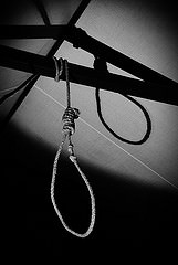 noose photo